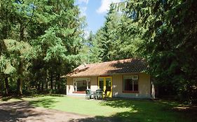 Bungalowpark Vogelenzang Lage Mierde